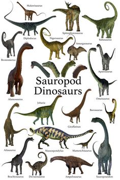 an image of some dinosaurs that are in the same place on this page, but with different colors and sizes