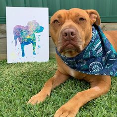 a brown dog wearing a bandana laying in the grass next to an art piece