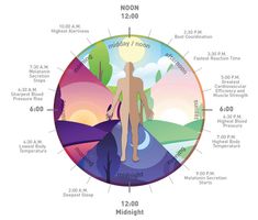 Tunable white lighting effects on circadian rhythm - Loxone Blog Sun Lamp, Body Clock, Hormone Levels, Nikola Tesla, Deep Sleep, Energy Level, Ayurveda