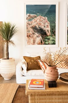 a living room filled with furniture and a potted plant on top of a coffee table