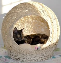 a cat laying in a wicker ball bed