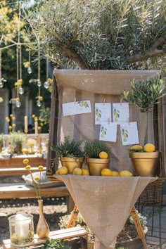 lemons and rosemary are displayed in baskets on display at an outdoor market stall with cards attached to them