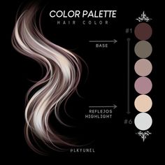 the color palette for hair is shown with different shades and directions to choose which shade you want