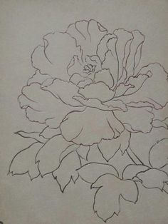 a drawing of a flower with leaves on it