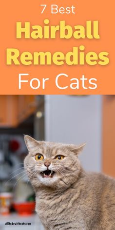 a cat with its mouth open and the words 7 best hairball remedies for cats