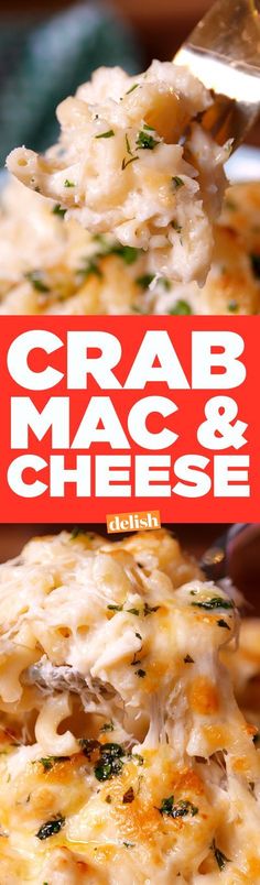 the cover of crab macaroni and cheese is being held up by a fork