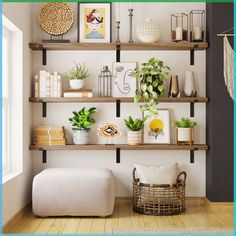 a living room filled with lots of shelves and plants