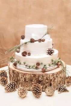 a white wedding cake with pine cones on top