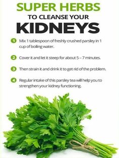 Kidney Healthy Foods, Food For Kidney Health, Herbal Remedies Recipes, Medical Herbs, A Pregnant Woman, Herbs For Health, Kidney Health