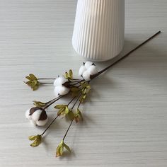 some cotton flowers are sitting next to a white vase