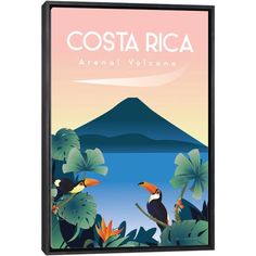 a poster with two birds sitting on top of plants and mountains in the background that says costa rica