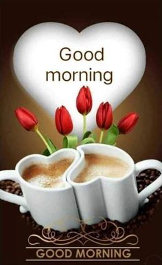 two cups of coffee with red tulips in them and the words good morning