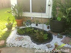 an outdoor garden with gravel and plants in front of a house, next to a window