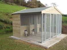 a dog kennel in the middle of a grassy field with two dogs inside it