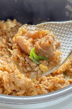 a close up of a spoon with food in it