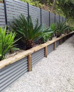 a long wooden bench sitting next to a row of plants