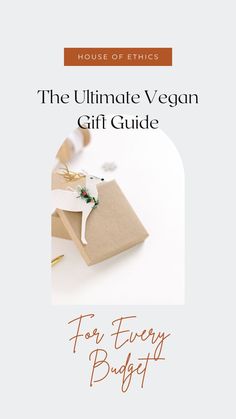 the ultimate vegan gift guide for every budgeter by house of thicss