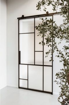 an open glass door with some plants in the corner and one plant on the other side