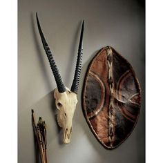 two horns mounted to the side of a wall next to pencils and an animal's skull