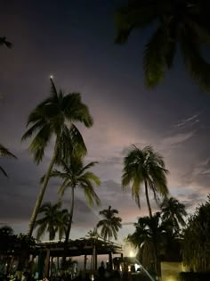 palm trees are lit up at night in the background, while people sit on benches under umbrellas