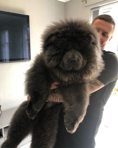 a man holding a large fluffy dog in his arms