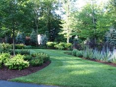 a lush green yard surrounded by trees and bushes