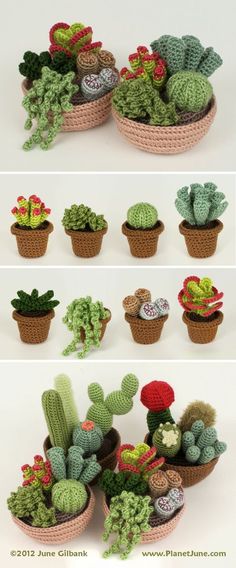 crocheted potted plants are shown in different stages of growing, including cacti and succulents