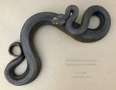 a black snake is curled up and ready to be displayed on the wall or floor