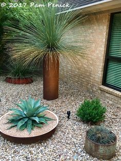 some plants and rocks in front of a brick building with a large potted plant next to it