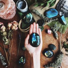 Witchy Vision Board, Botanical Witch, Witch Business, Crystal Wallpaper, Prince Stolas, Academia Core, Spiritual Girl, Spiritual Aesthetic, Crystal Photography