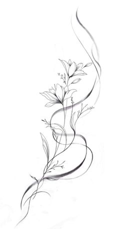 a drawing of flowers on a white background