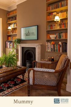 a living room filled with furniture and a fire place in front of a book shelf