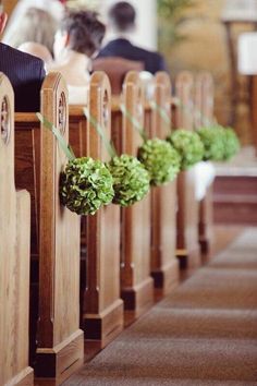 two rows of wooden pews with plants growing out of them