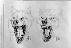 two drawings of wolfs with their mouths open