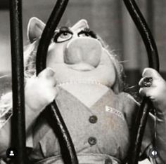 Behind Bars, Bending, Sesame Street, Reaction Pictures, Mood Pics