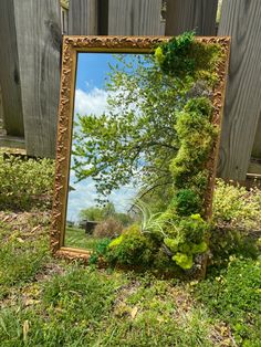 a mirror sitting in the grass next to a wooden fence and some plants on it