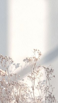 a vase filled with white flowers on top of a table