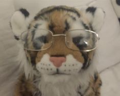 a stuffed tiger with glasses on it's face