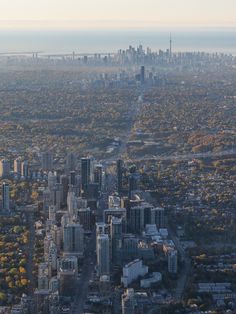 an aerial view of a city with tall buildings and lots of trees in the foreground