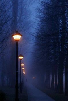 a street light sitting on the side of a road next to tall grass and trees