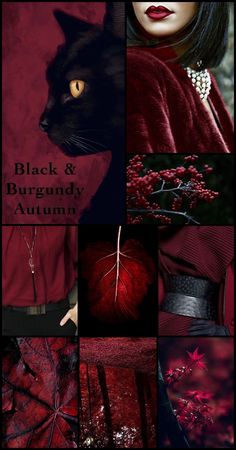 a collage of red and black images with the words black & burgundy autumn on them