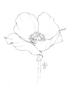 a black and white drawing of a flower