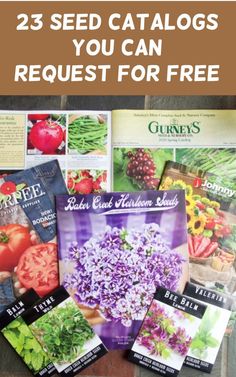 seed catalogs with the title 25 seed catalogs you can request for free