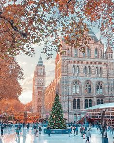 people skating on an ice rink in front of a large building with a christmas tree