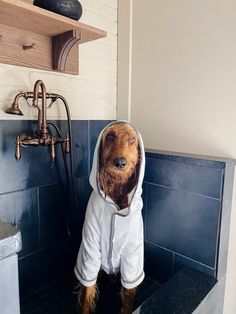 a dog in a robe sitting on the edge of a bathtub with it's head sticking out