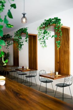 an empty restaurant with wooden tables and plants hanging from the ceiling, along with black metal chairs