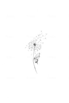 [object Object] Tattoos Ideas Minimalist, Tattoo Symbol Of Strength, Create Tattoo Ideas, Dandelion Tattoo Back Of Arm, Tiny Intricate Tattoos, Fine Line Tattoo Ideas For Moms, Grandparent Tattoos Ideas, Fairy Light Tattoo, Save Me Tattoo Ideas