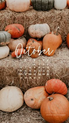 a calendar with pumpkins stacked on top of hay bales and the words october written in cursive font