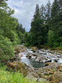 a river running through a lush green forest