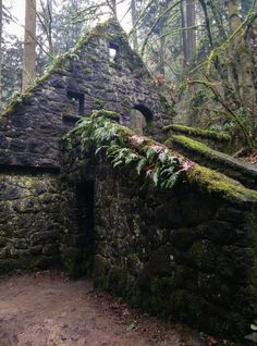 an old stone building with moss growing on it's roof in the woods near some trees